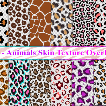 Skin Texture Backgrounds 271481