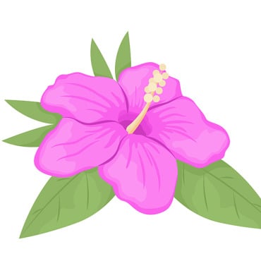 Hibiscus Leaf Illustrations Templates 271558