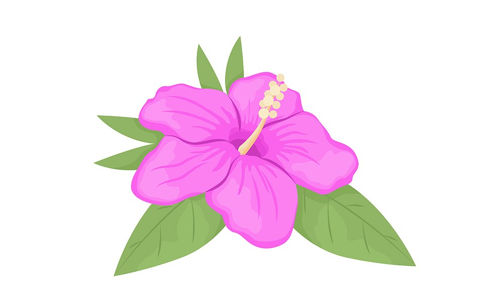 Hibiscus flower blooming semi flat color vector object