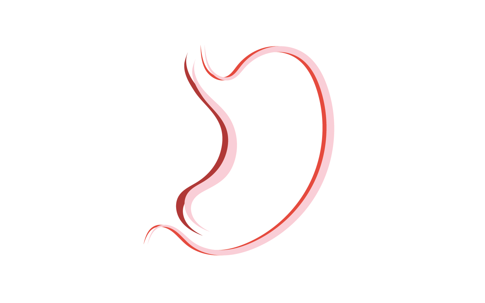 Stomach Care Logo Designs Concept Vector Illustration V6