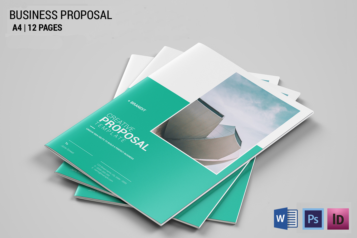 Project Proposal Template, Psd, word and Indesign
