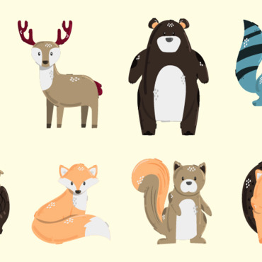 Forest Animal Illustrations Templates 272852