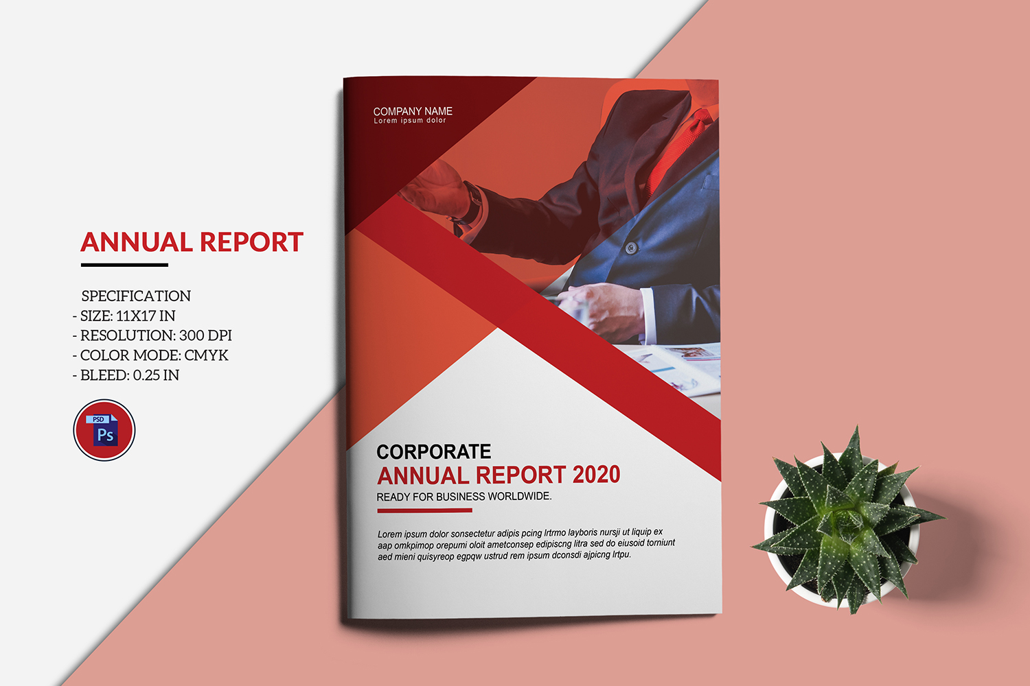 Annual Report Template, Photoshop and Ms Word Template