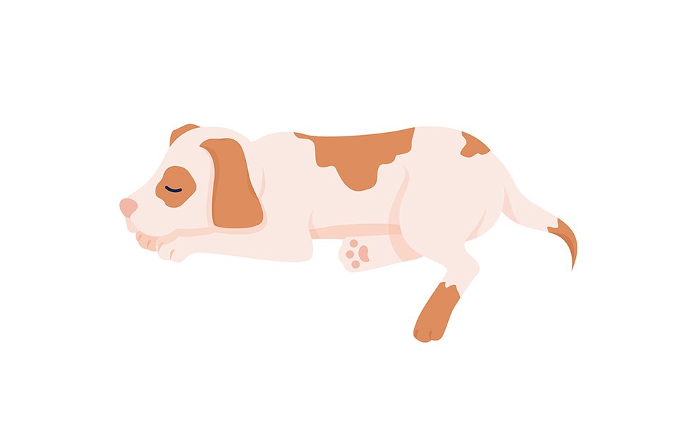 Cute sleeping dog semi flat color vector character