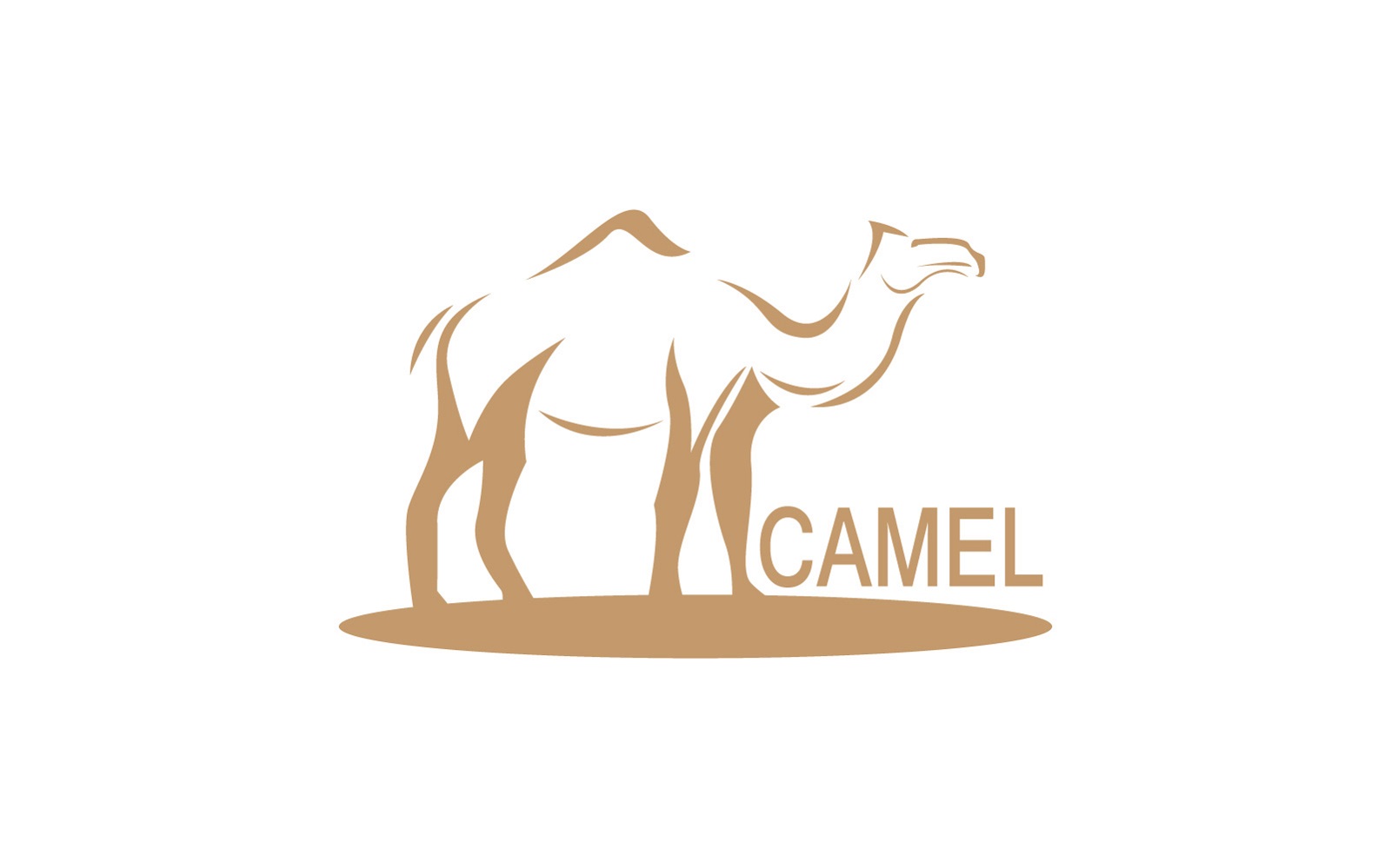 Camel Icon And Symbol Vector Template Illustration 5