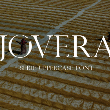 Fonts Display  276004