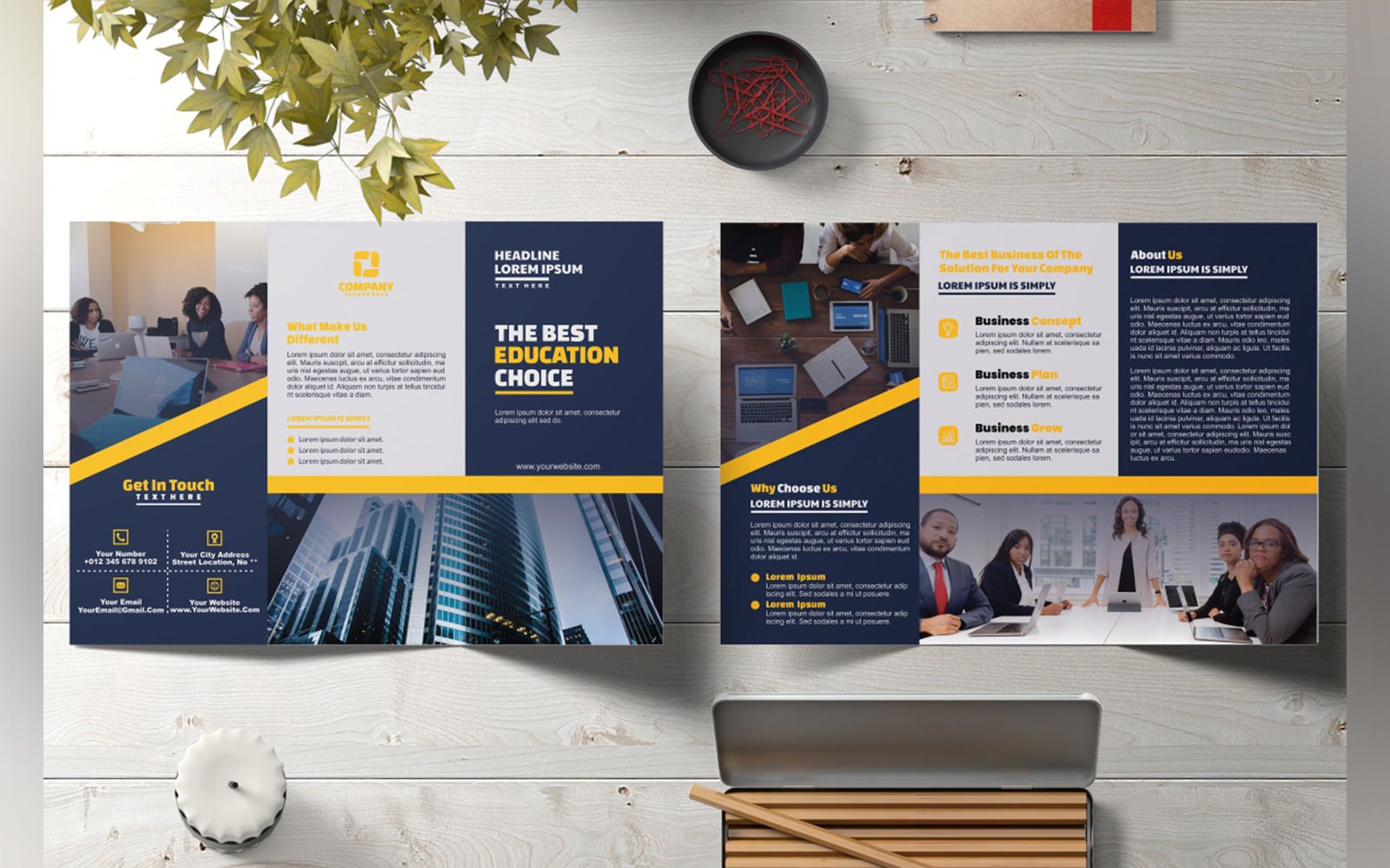 Education Tri-Fold Brochure