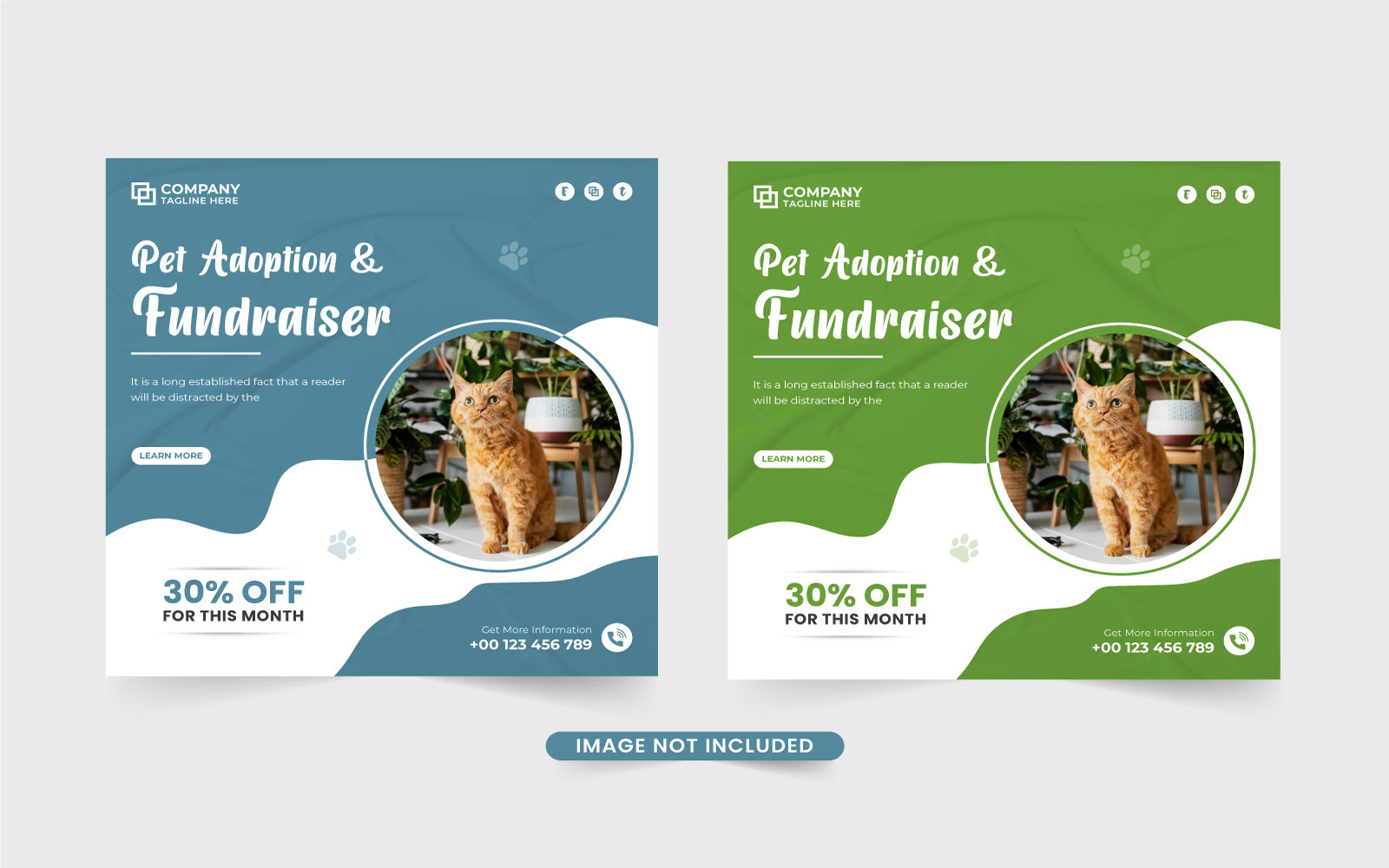 Pet care center promotional template