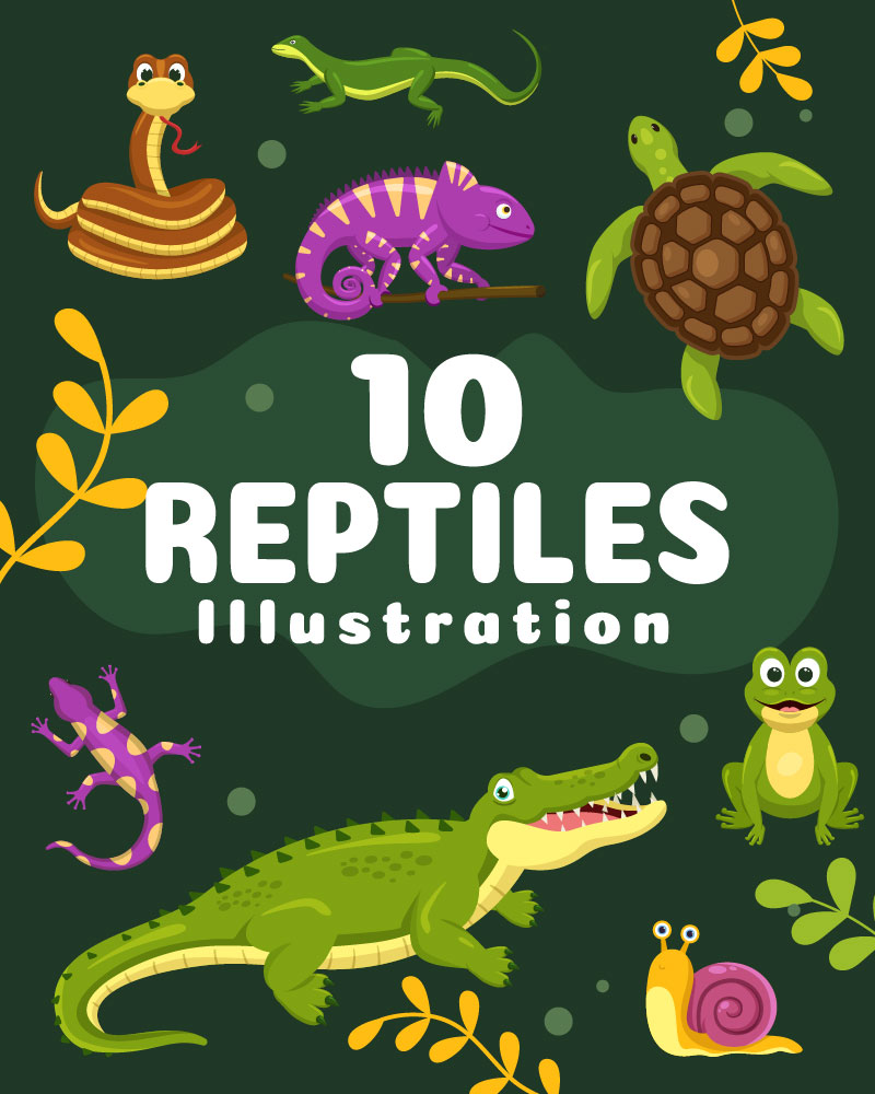 10 Set of Animal Reptile Illustration