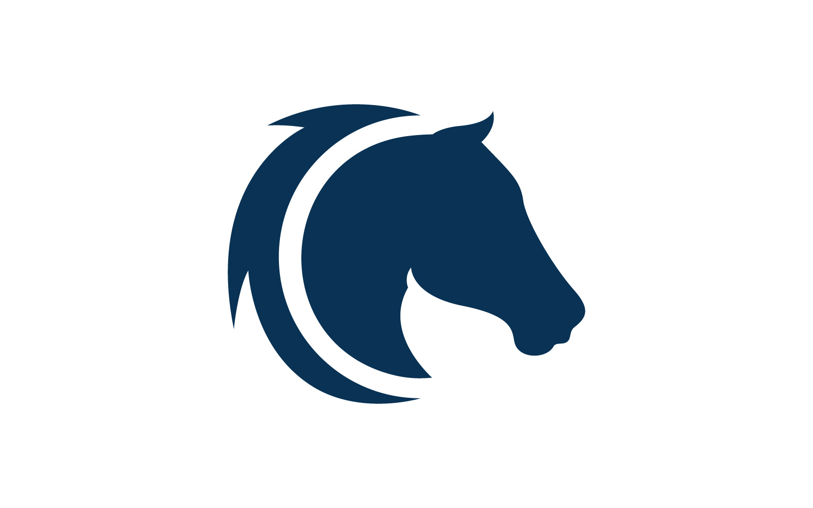 Horse logo template. Vector illustration. V2