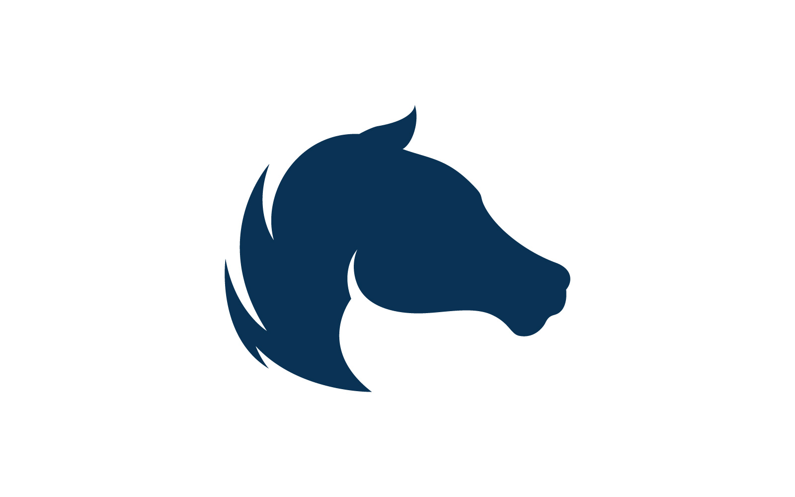 Horse logo template. Vector illustration. V3