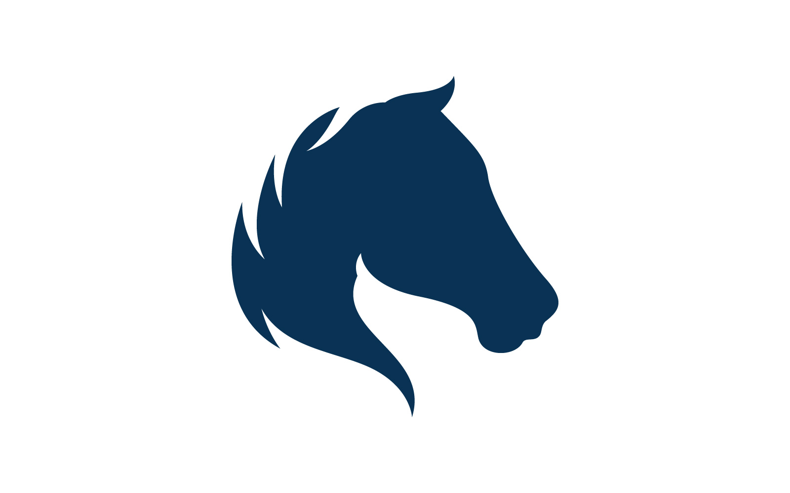 Horse logo template. Vector illustration. V4