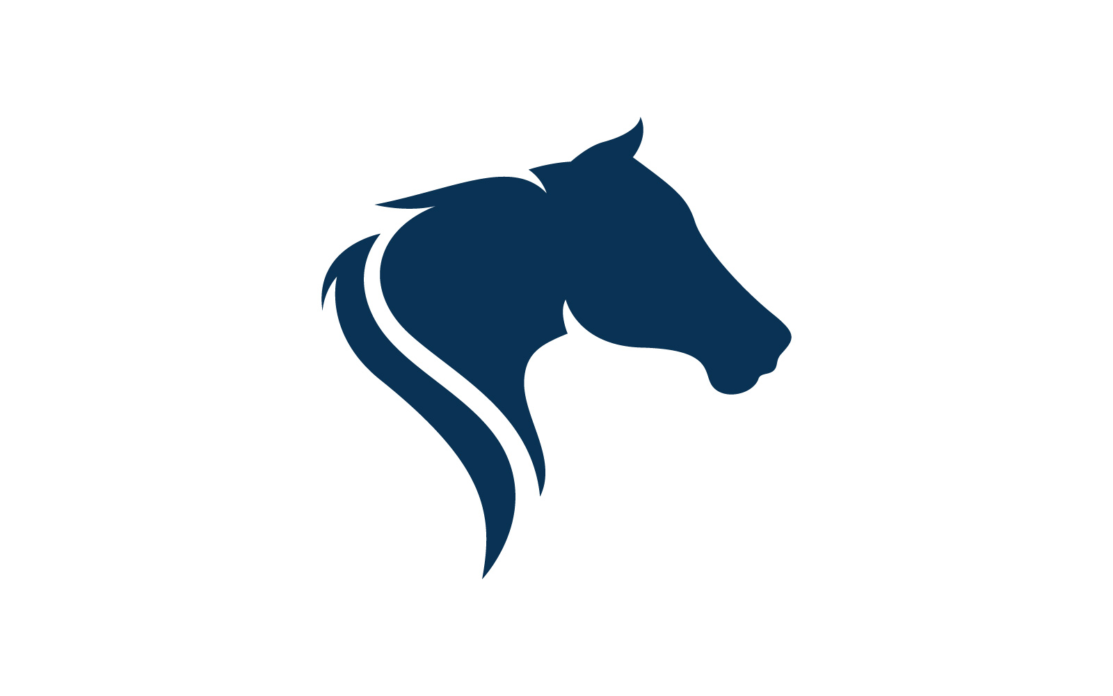 Horse logo template. Vector illustration. V6