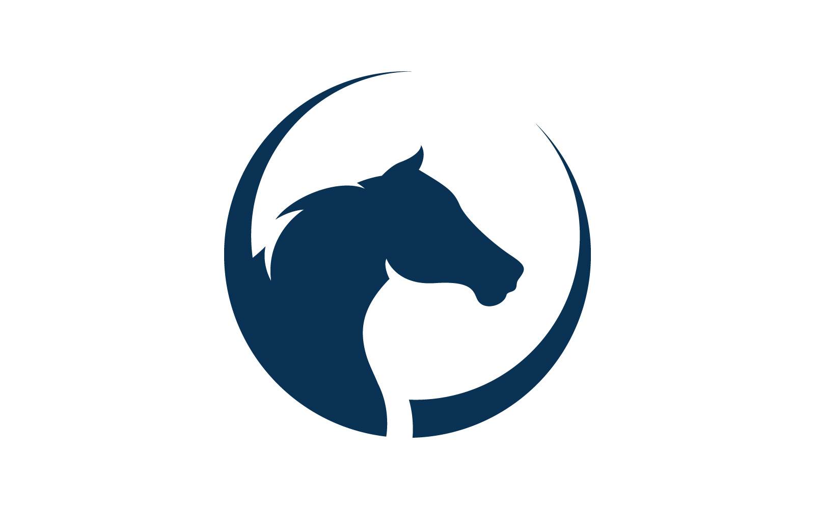 Horse logo template. Vector illustration. V9