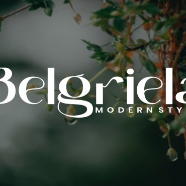 Fonts Display  278754