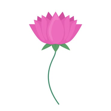 Flower Pink Illustrations Templates 278954