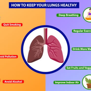 Infographics Lungs Vectors Templates 279049