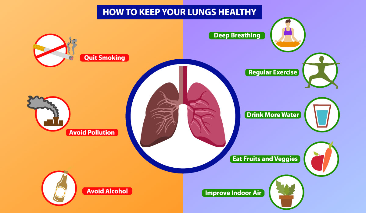 Healthy Lungs Infographics vector template