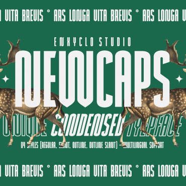 Elegant Display  279072