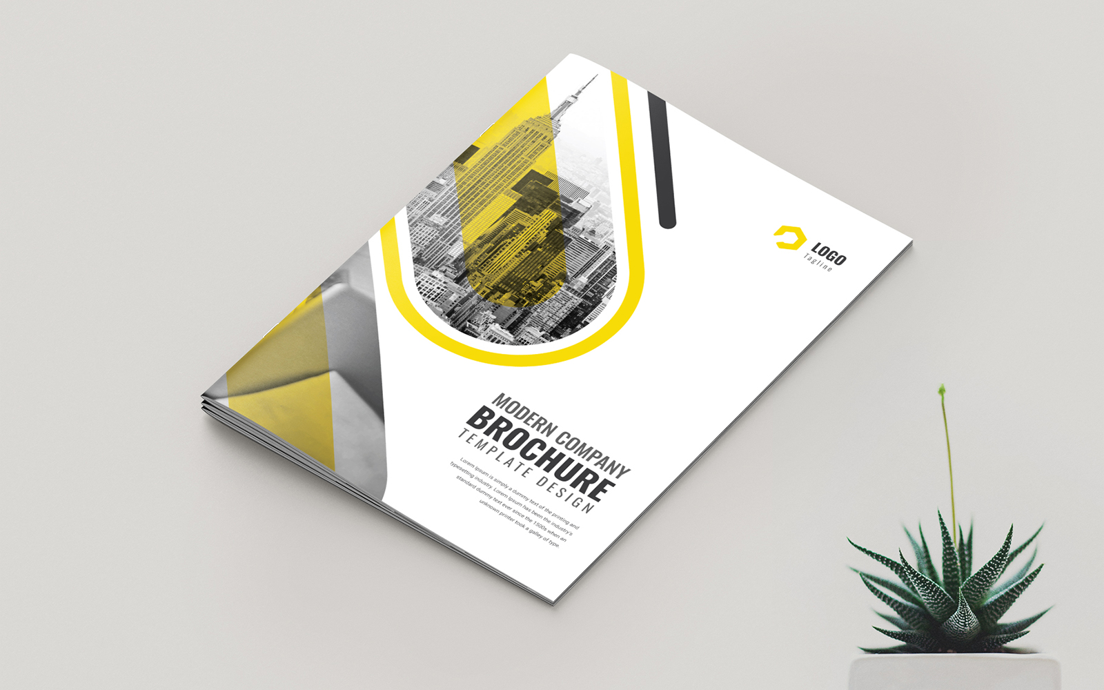 Company Brochure Design Template 16 Page