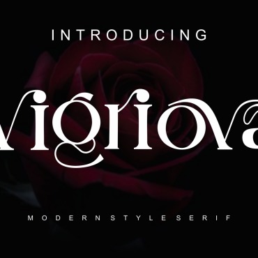 Fonts Display  279386