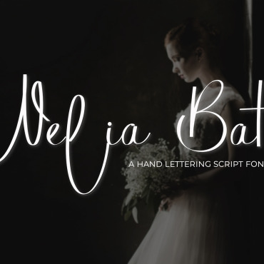 Fonts Display  279677