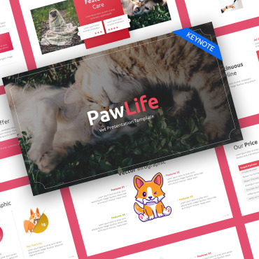 Medicine Beautician  280199