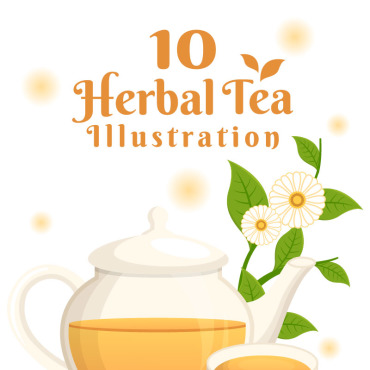 Herbal Tea Illustrations Templates 281611