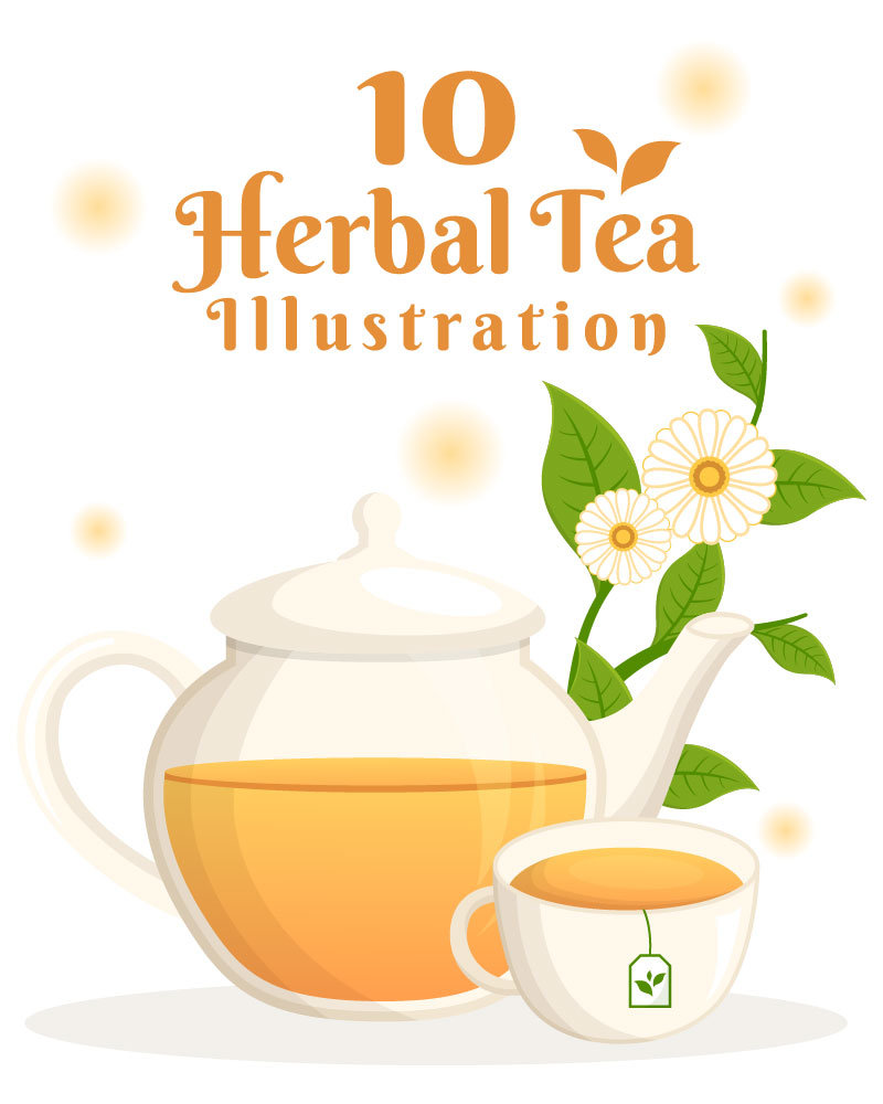 10 Herbal Tea Chamomile Leaves Illustration