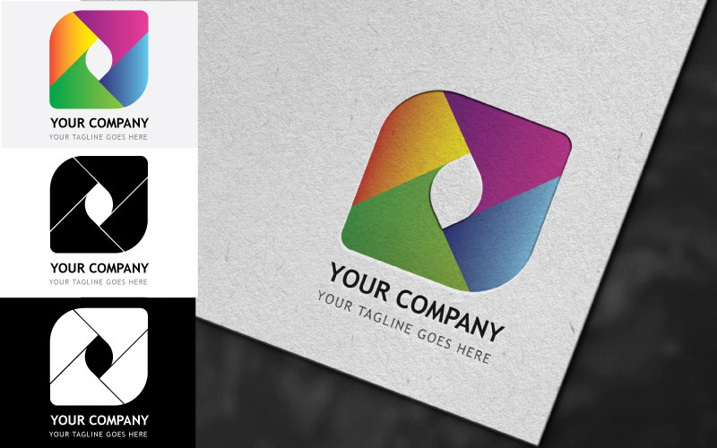 Professional Company Logo Design - Brand Identity