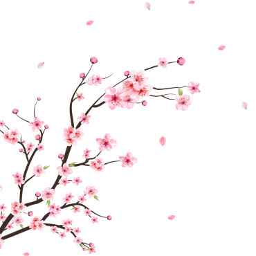 Almond Blossom Illustrations Templates 283676