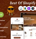 Shopify Themes 284758