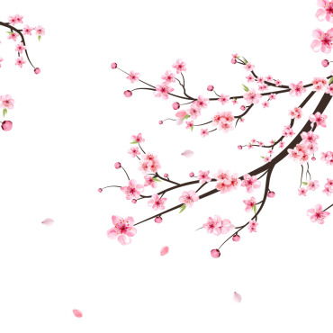 Almond Blossom Illustrations Templates 285150