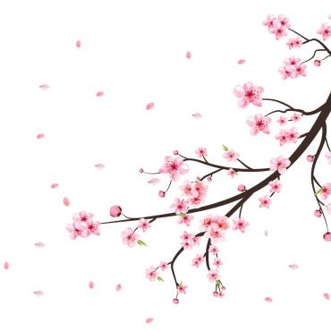 Almond Blossom Illustrations Templates 285152