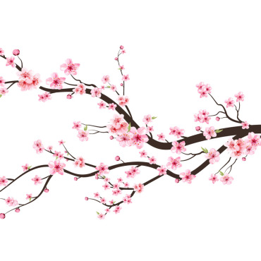 Almond Blossom Illustrations Templates 285153