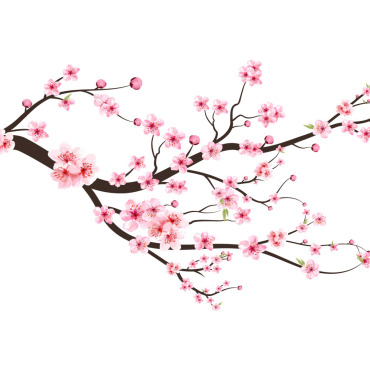 Almond Blossom Illustrations Templates 285154