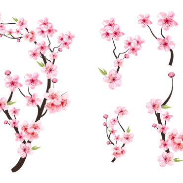 Almond Blossom Illustrations Templates 285155