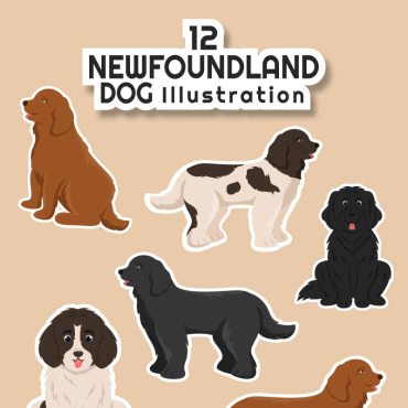 Dog Newfoundland Illustrations Templates 285732