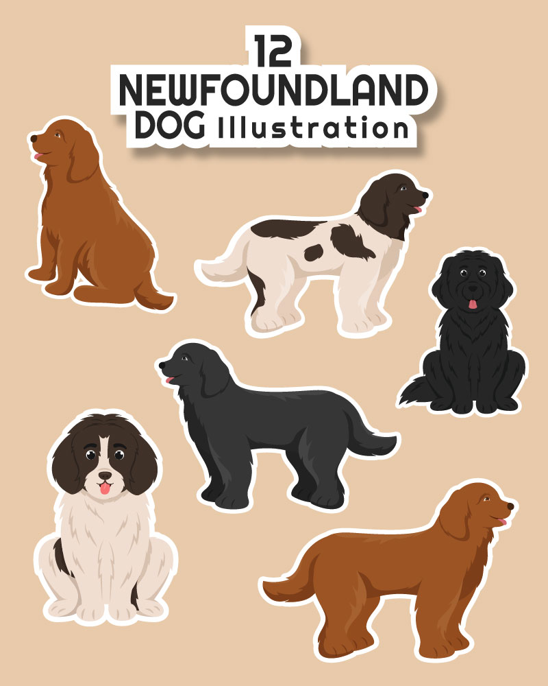 12 Newfoundland Dog Illustration