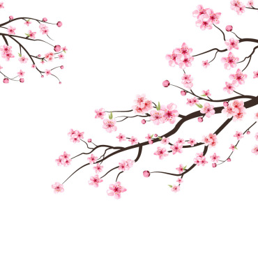 Almond Blossom Illustrations Templates 286273