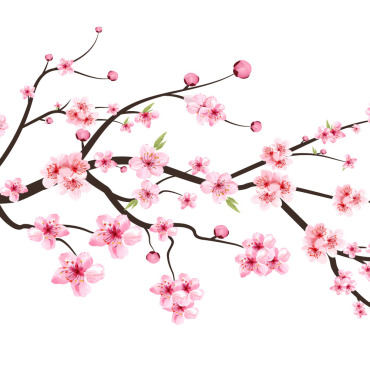 Almond Blossom Illustrations Templates 286277