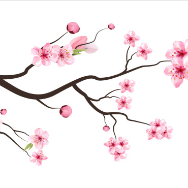 Almond Blossom Illustrations Templates 286677