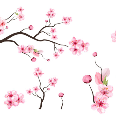 Almond Blossom Illustrations Templates 286678