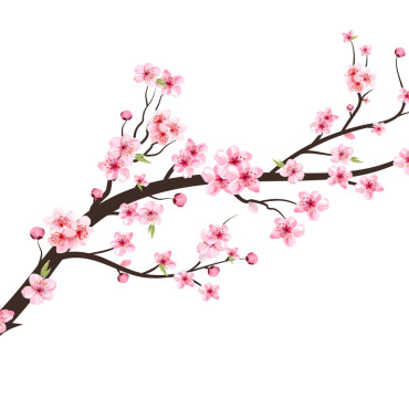 Almond Blossom Illustrations Templates 286679