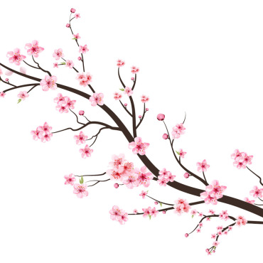 Almond Blossom Illustrations Templates 286680