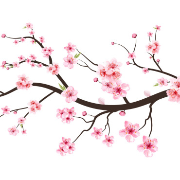 Almond Blossom Illustrations Templates 286682