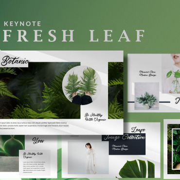 <a class=ContentLinkGreen href=/fr/kits_graphiques_templates_keynote.html>Keynote Templates</a></font> nature plante 286909