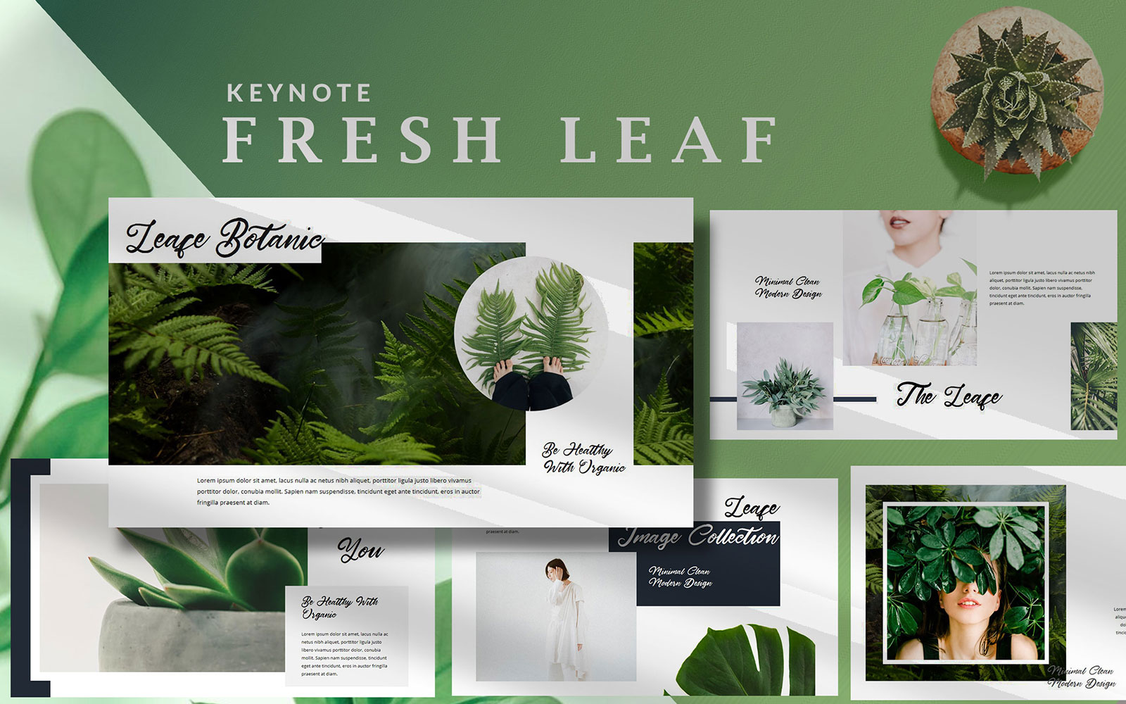 Minimal Fresh Leaf - Nature Keynote Template
