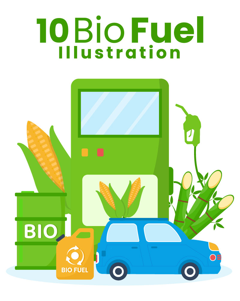 10 Biofuel Life Cycle Illustration