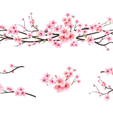 Almond Blossom Illustrations Templates 293250